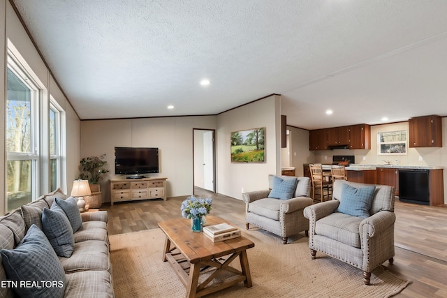 living room with crown molding, sink, light hardwood / wood-style flooring, and a textured ceiling