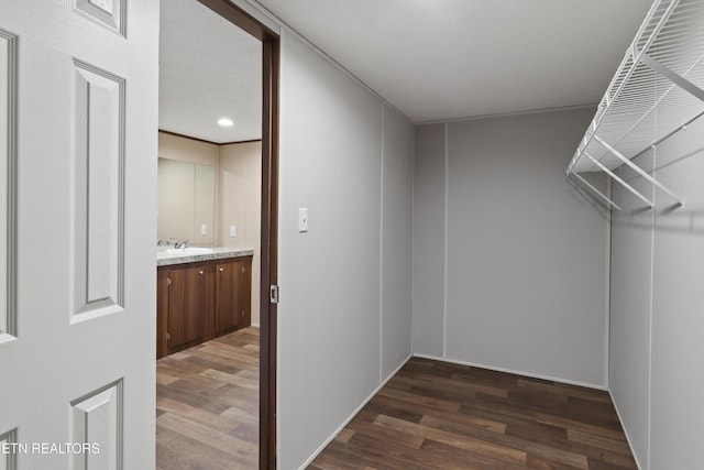 spacious closet with dark wood-type flooring and sink