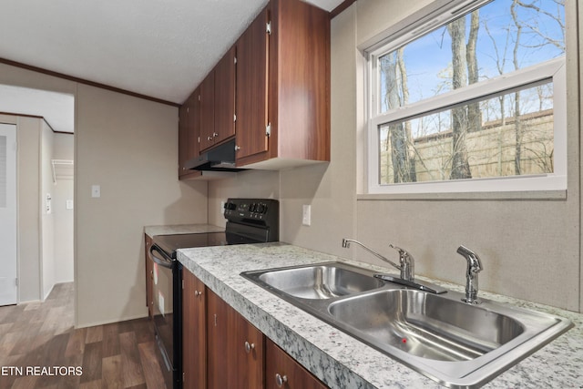 kitchen featuring dark wood-type flooring, black electric range oven, and sink