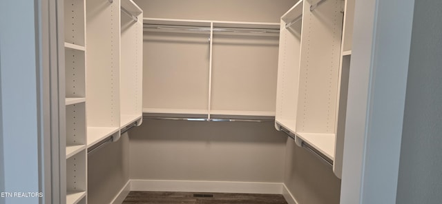 spacious closet featuring dark wood finished floors