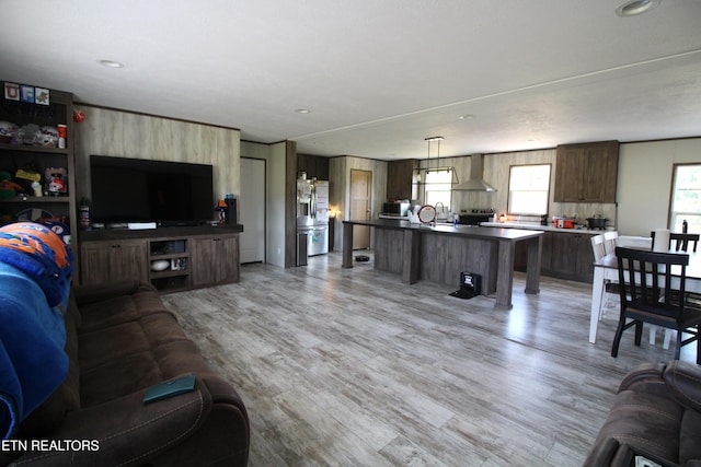 living room featuring sink and light wood-type flooring