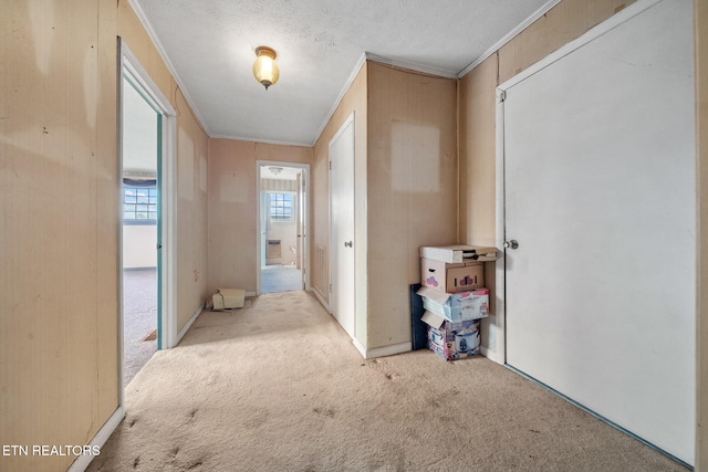 hall with a textured ceiling, carpet floors, and crown molding