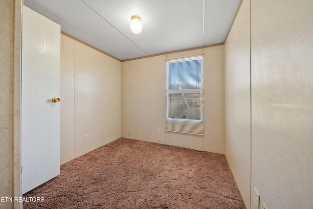 empty room featuring a textured ceiling and carpet flooring