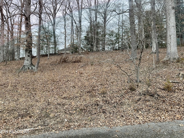 Madison Cir, Harrogate TN, 37752 land for sale