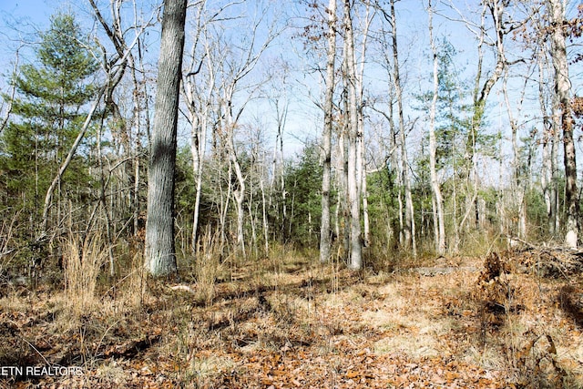 Hollis Poore Rd, Jamestown TN, 38556 land for sale