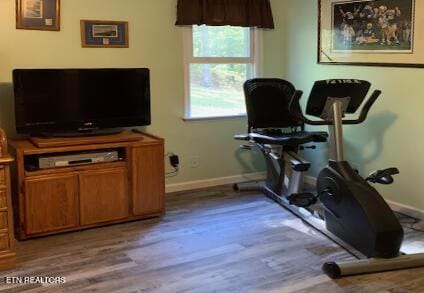 exercise room featuring wood-type flooring