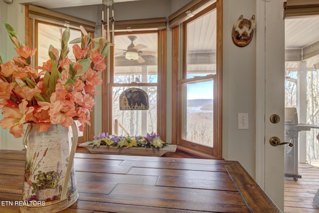 entrance foyer featuring ceiling fan and plenty of natural light