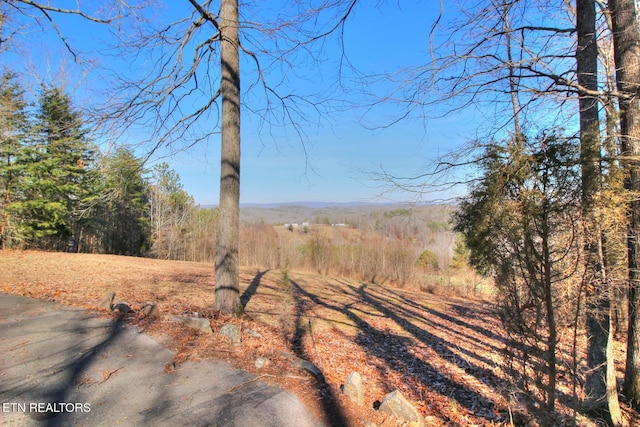 view of landscape