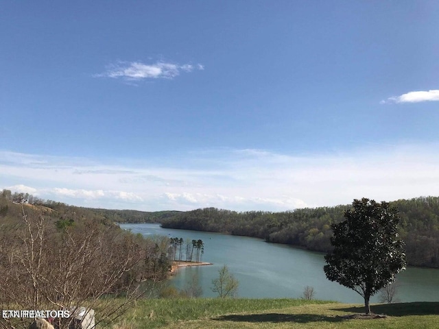 Pinnacle Ln, Lafollette TN, 37766 land for sale