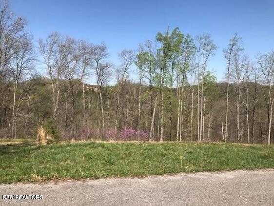 Listing photo 2 for Pinnacle Ln, Lafollette TN 37766