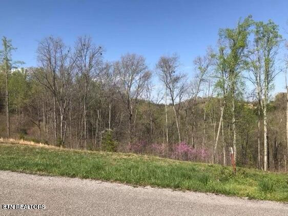 Listing photo 3 for Pinnacle Ln, Lafollette TN 37766