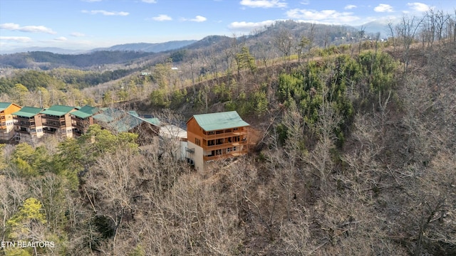 birds eye view of property featuring a mountain view