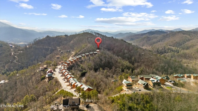 property view of mountains