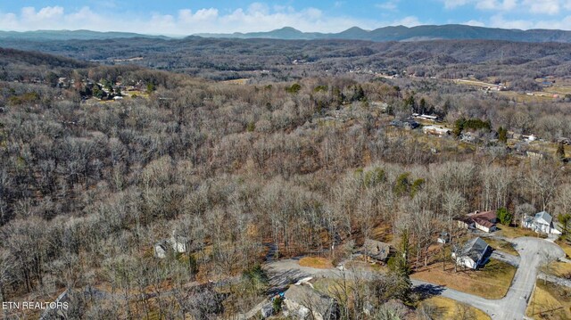 aerial view with a mountain view