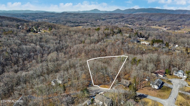 drone / aerial view with a mountain view