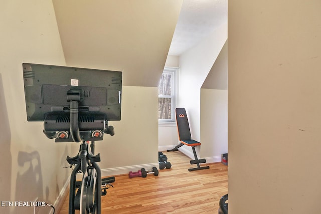 exercise room featuring wood-type flooring