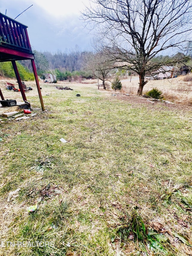 view of yard featuring a rural view