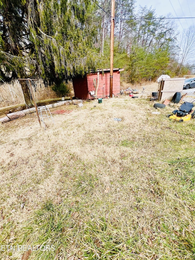 view of yard with a storage unit