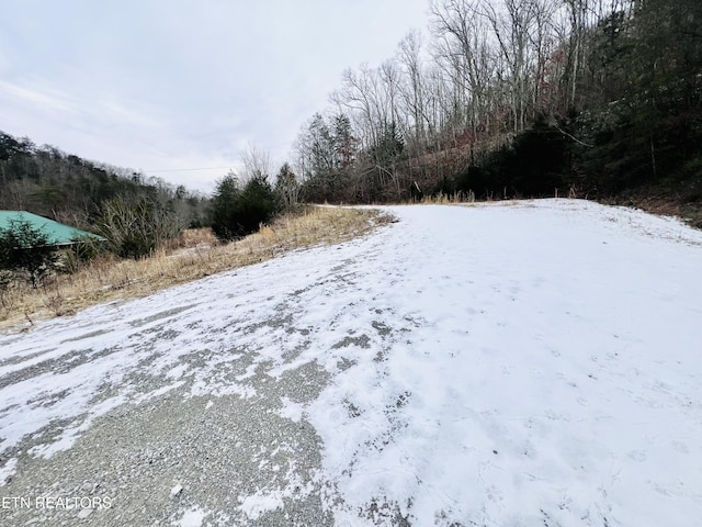 view of yard layered in snow