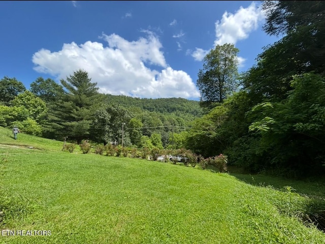 view of landscape