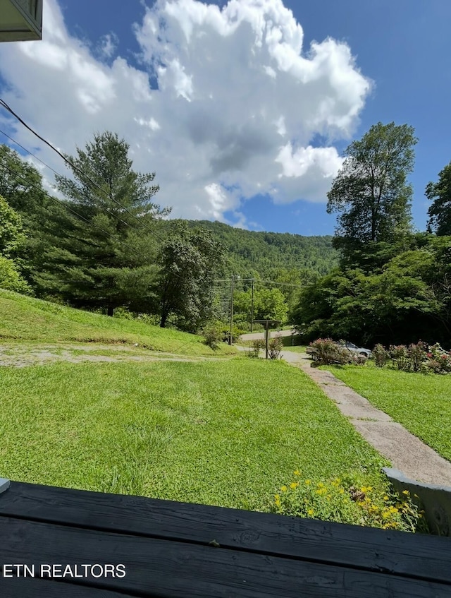 view of home's community with a lawn