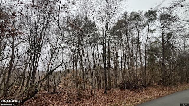 Mountain View Ln, Lot Baneberry, TN 37890