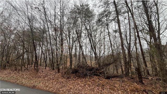 Mountain View Ln, Lot Baneberry, TN 37890