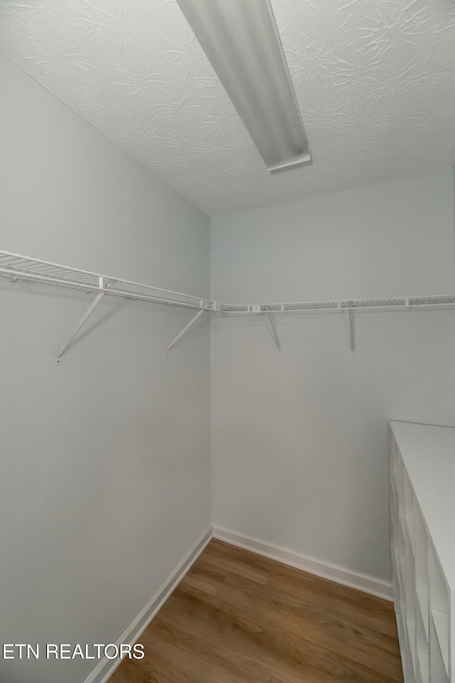 spacious closet with hardwood / wood-style floors