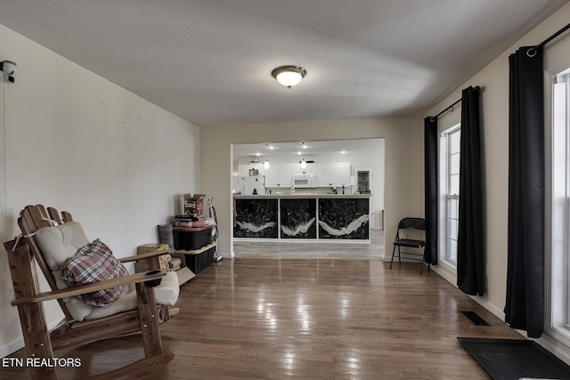 living area featuring wood-type flooring and a textured ceiling