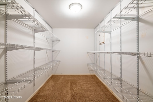 spacious closet with carpet flooring