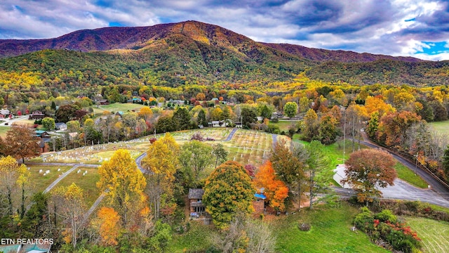 view of mountain feature