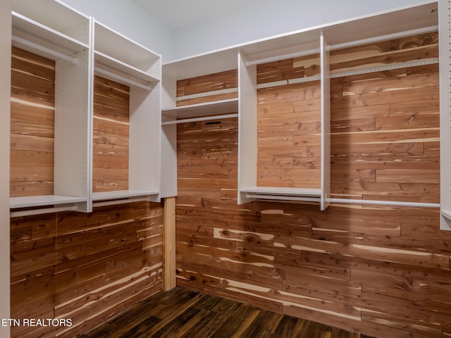 walk in closet featuring dark wood-type flooring