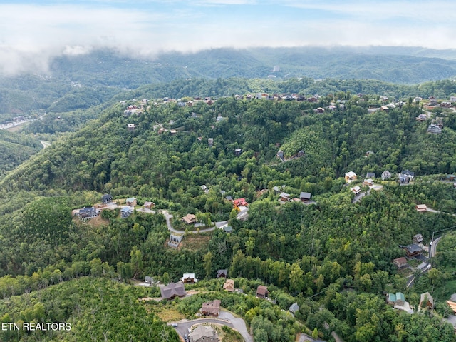 birds eye view of property with a mountain view