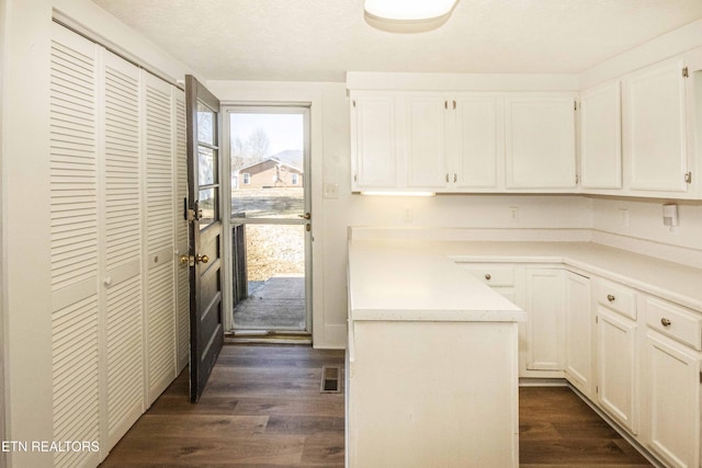 kitchen featuring white cabinetry and dark wood-type flooring