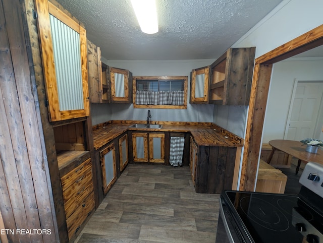 kitchen with dark hardwood / wood-style flooring, sink, stainless steel range with electric cooktop, and a textured ceiling