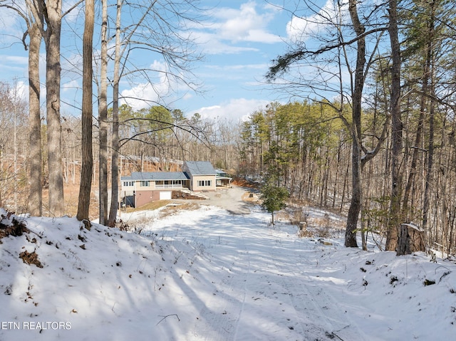 view of yard layered in snow