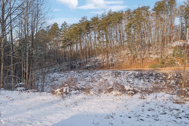 view of snow covered land