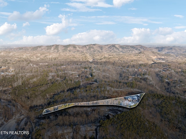 bird's eye view featuring a mountain view