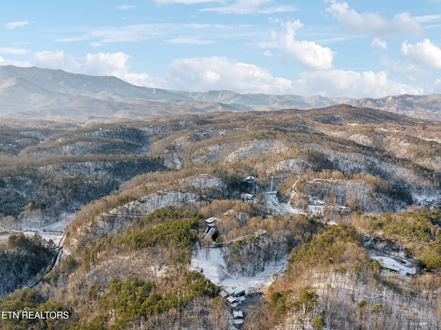 property view of mountains