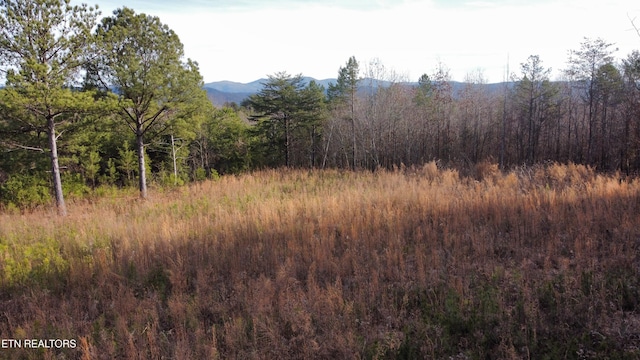 0 Curtis Rd, Tellico Plains TN, 37385 land for sale