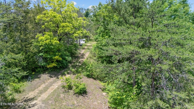 LOT8 Pleasure Rd, Sevierville, TN 37876 - photo 3