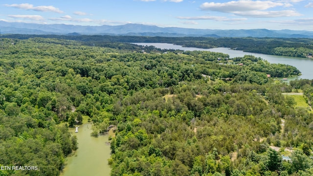 LOT8 Pleasure Rd, Sevierville, TN 37876 - photo 4