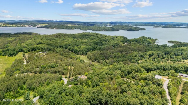 LOT8 Pleasure Rd, Sevierville, TN 37876 - photo 9
