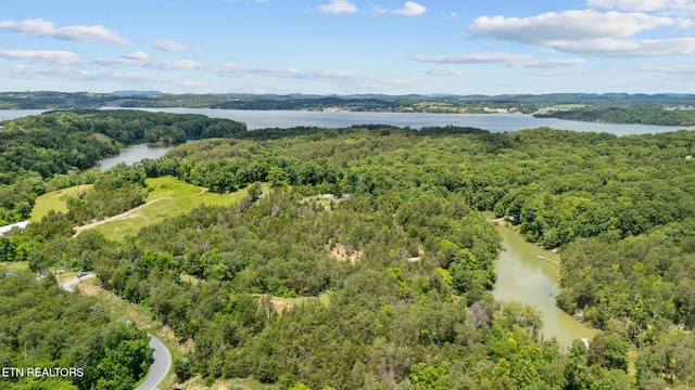 LOT8 Pleasure Rd, Sevierville, TN 37876 - photo 10