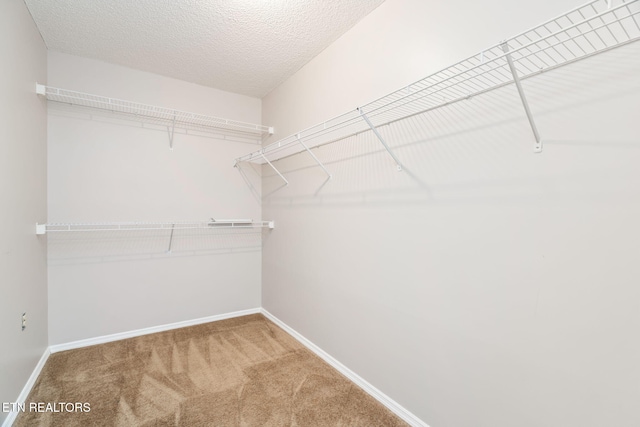 spacious closet with carpet