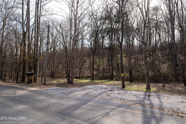 154 County Road 299, Sweetwater TN, 37874 land for sale