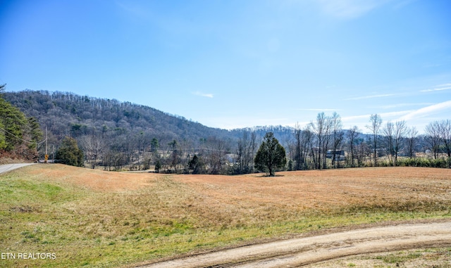 mountain view with a rural view