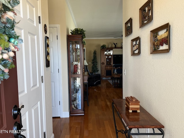 hall with dark hardwood / wood-style flooring and ornamental molding