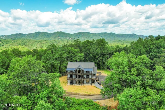 view of mountain feature