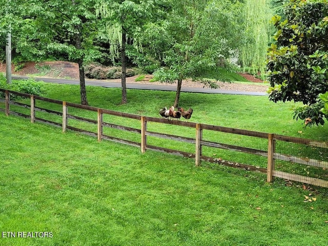 view of yard with a rural view